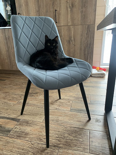 Стул на металлокаркасе Fox light blue / black фото покупателя 16