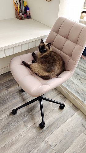 Компьютерное кресло Честер синий (velutto 46 ) / белый фото покупателя 5