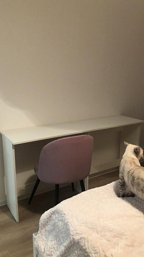 Стул на металлокаркасе Gabi green / black / silver фото покупателя 276