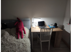 Письменный стол Битти Лофт 116х60х75 дуб вотан / черный матовый фото покупателя 96