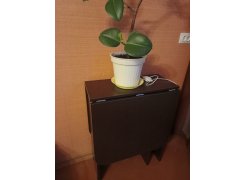 Стол-книжка Мечта венге - Уцененный экземпляр фото покупателя 16