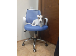 Компьютерное кресло Ergoplus blue / gray / white фото покупателя 1