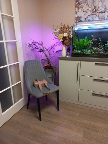 Стул на металлокаркасе Kora dark gray / black фото покупателя 298