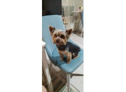 Стул на металлокаркасе Kora beige / black фото покупателя 95