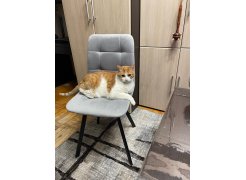 Стул на металлокаркасе Чилли светло-серый / черный фото покупателя 67