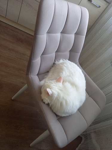 Стул на металлокаркасе Челси К бирюзовый / черный фото покупателя 166