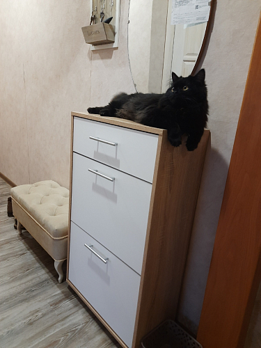 Обувница ТП-1 дуб делано фото покупателя 4