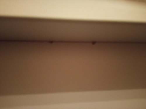 Компьютерный стол КСТ-109П правый дуб сонома / белый фото покупателя 113