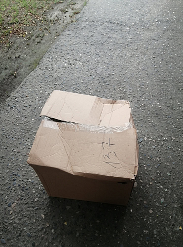 Стул Сindy Eames/Синди Имс мод. 001 белый фото покупателя 24