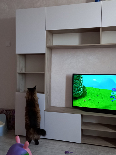 Модульная гостиная Алетра дуб крафт серый / глянец белый комплектация 2 фото покупателя 1