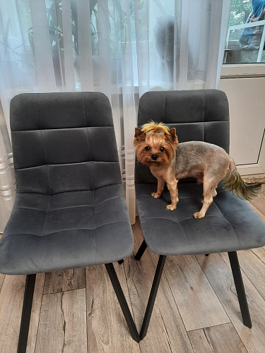 Стул на металлокаркасе Чилли черный / зеленый фото покупателя 730