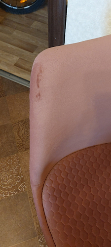 Стул Bonuss велюр coral фото покупателя 192