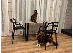 Деревянный стол Лота Лофт 120(160)х75 черный матовый / бетон светлый фото покупателя 588