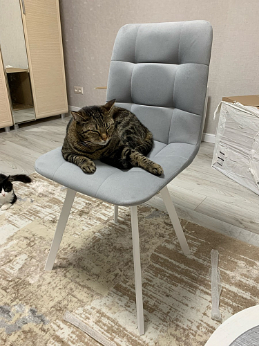 Стул на металлокаркасе Чилли черный / зеленый фото покупателя 928