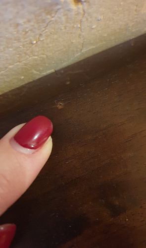 Консоль Console oak фото покупателя 13