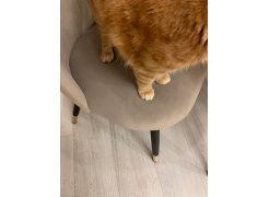 Стул на металлокаркасе Gabi 1 бежевый / черный с серебряными наконечниками фото покупателя 670