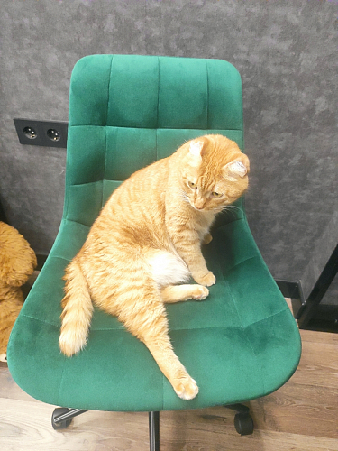 Компьютерное кресло Честер розовый (california 390) / черный фото покупателя 10