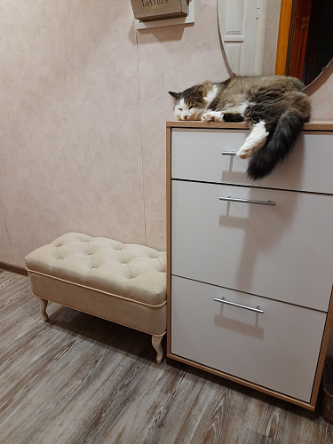 Обувница ТП-1 дуб делано фото покупателя 3