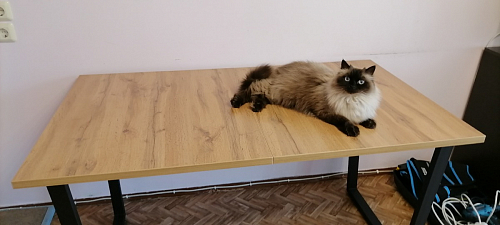 Деревянный стол Лота Лофт 140х80 дуб крафт табачный / черный матовый фото покупателя 326