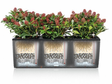 Кашпо Lechuza 15749 RONDO 40 Черный блестящий