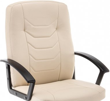 Компьютерное кресло Darin Ivory